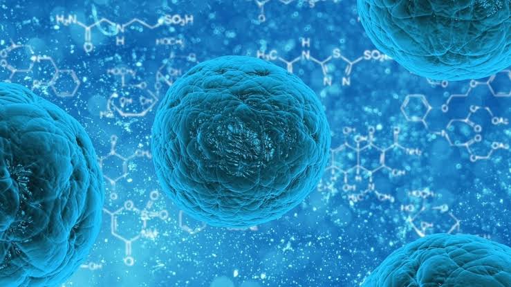 HMPV Virus Resurfaces: 3 Cases in India
